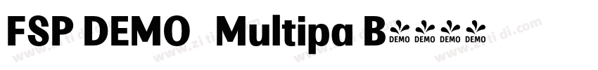 FSP DEMO   Multipa B字体转换